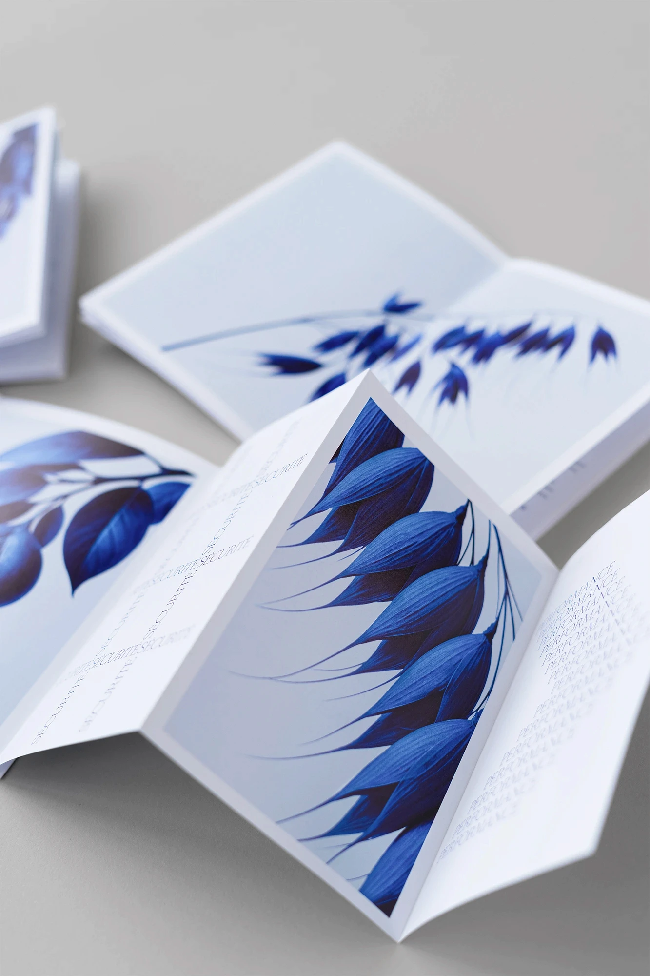 Livrets éditoriaux Selvi & Cie aux images botaniques bleues superposées
