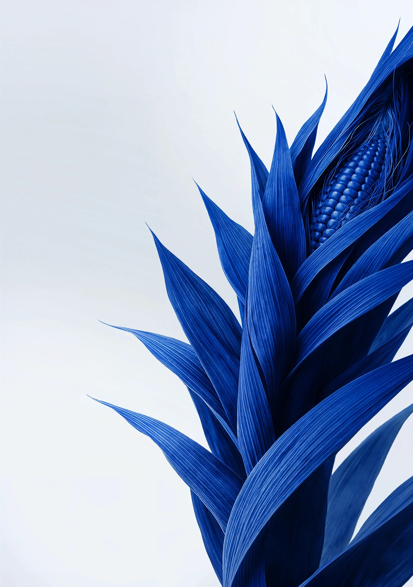 Gros plan sur des feuilles botaniques pointues bleu cobalt