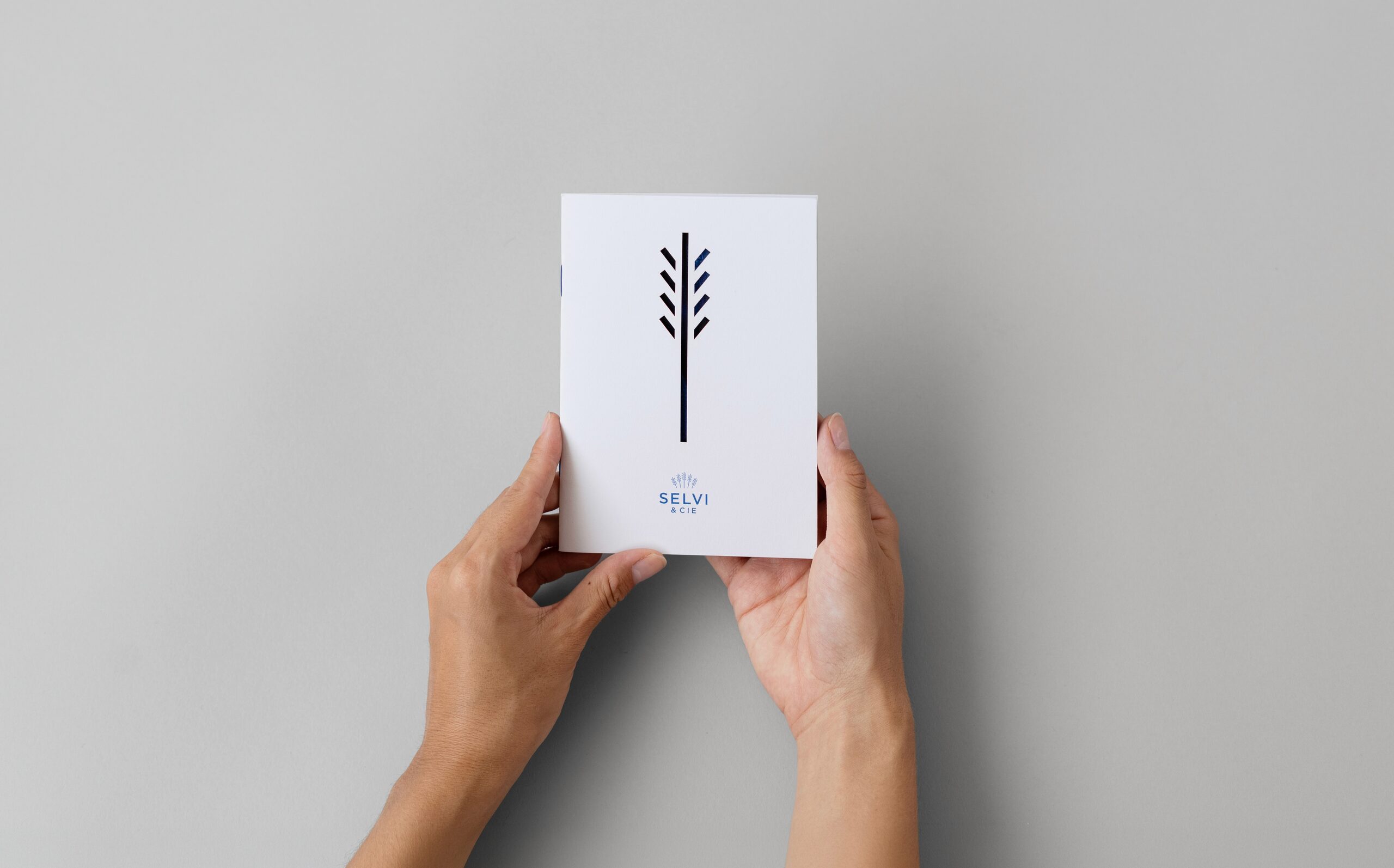 Mains tenant la publication minimaliste Selvi & Cie